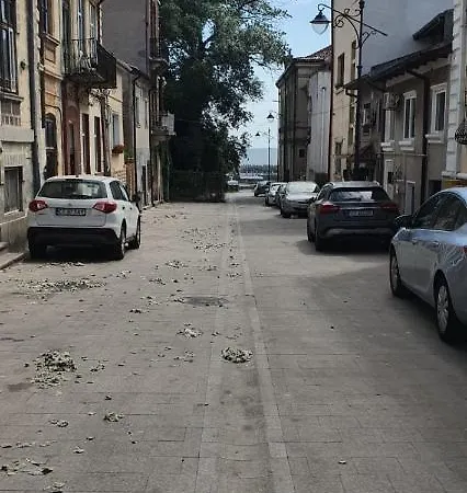 Casa Cu Fluturi Konstanca