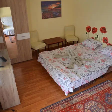 Casa Cu Fluturi Homestay