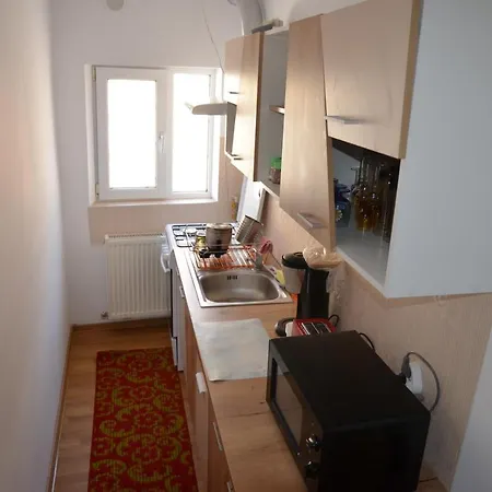 Casa Cu Fluturi Homestay