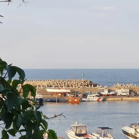 Casa Cu Fluturi Homestay *