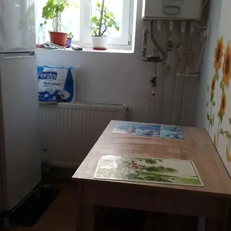 Homestay Casa Cu Fluturi *