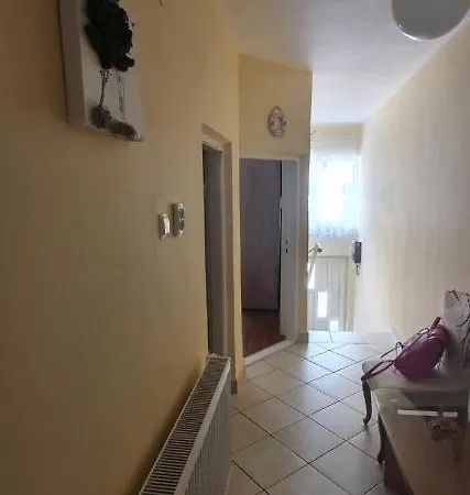 Casa Cu Fluturi *